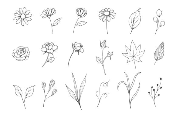 Flowers Sketch Collection with Line Art for Web and Editorial Graphics