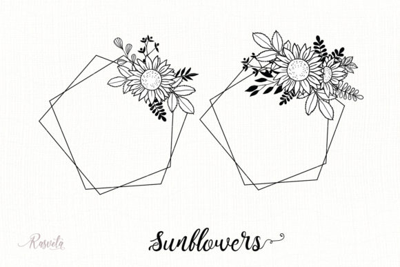 Geometric Frames, Sunflower Plants for Modern Graphic Design