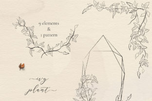Line Drawing Ivy Plant Illustrations for Clean Web Graphics