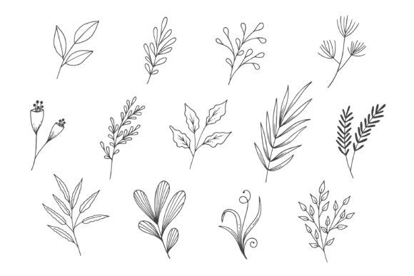 Natural Leaves Line Art Collection for Blog Graphics and Illustrations